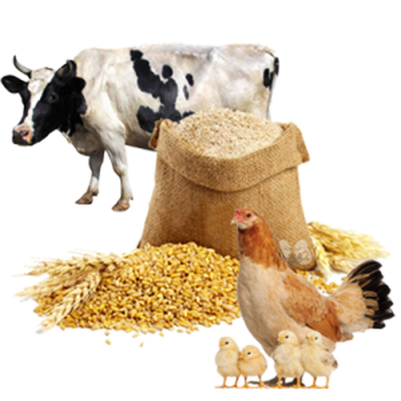 ویژگیهای بهترین مکمل دامی